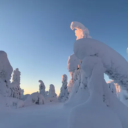 Modern Joenpolku With Jacuzzi, Sauna And Scenic Views