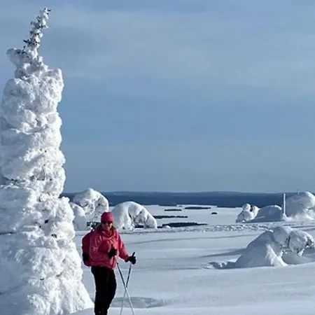 Villa Modern Joenpolku With Jacuzzi, Sauna And Scenic Views