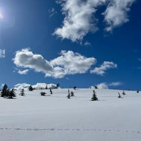 Modern Joenpolku With Jacuzzi, Sauna And Scenic Views Ruka