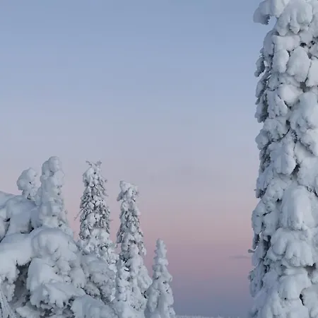 Modern Joenpolku With Jacuzzi, Sauna And Scenic Views Huvilat Ruka