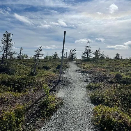 Modern Joenpolku With Jacuzzi, Sauna And Scenic Views