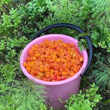 Modern Joenpolku With Jacuzzi, Sauna And Scenic Views *