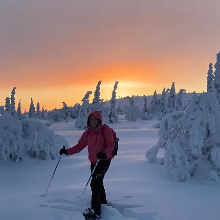 Huvilat Modern Joenpolku With Jacuzzi, Sauna And Scenic Views