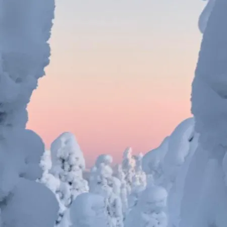 Modern Joenpolku With Jacuzzi, Sauna And Scenic Views Villa