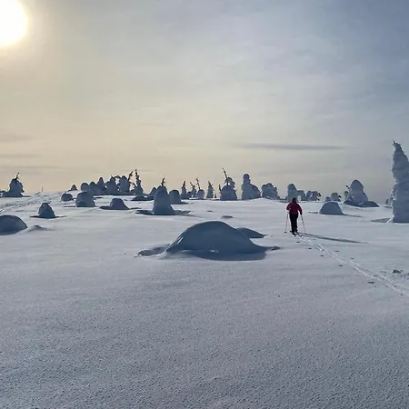 Modern Joenpolku With Jacuzzi, Sauna And Scenic Views Villa *