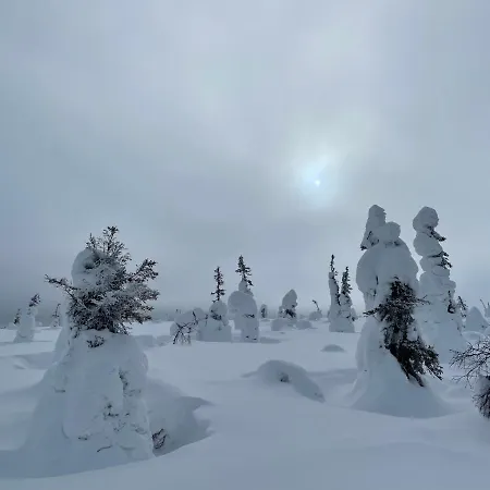 Modern Joenpolku With Jacuzzi, Sauna And Scenic Views Ruka